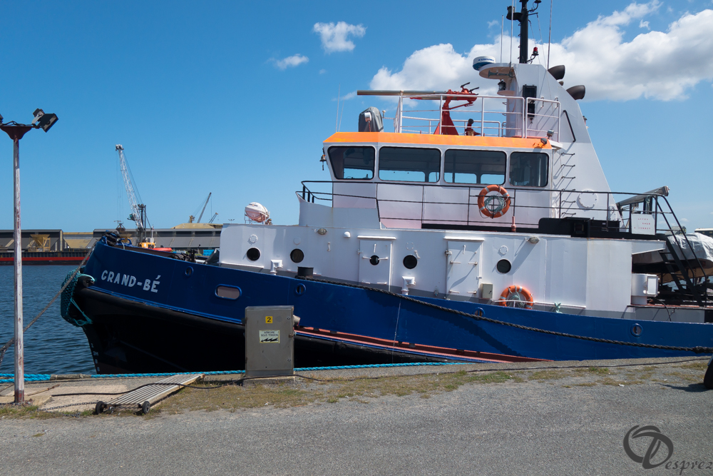 2019-aout-21-DSC03245