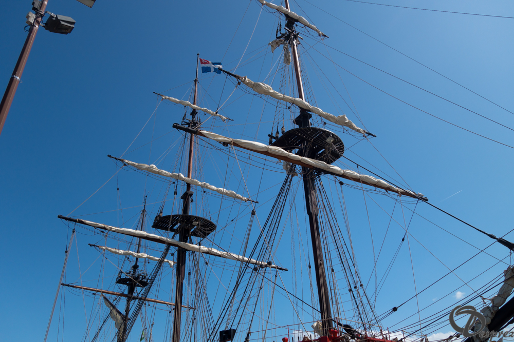 2019-aout-21-DSC03257