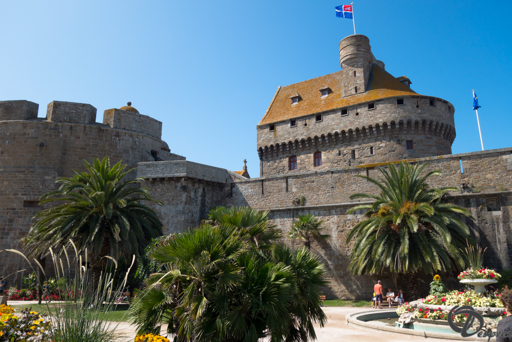 2019-aout-21-DSC03263