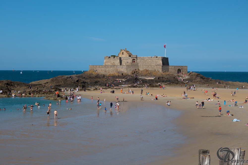 2019-aout-21-DSC03269