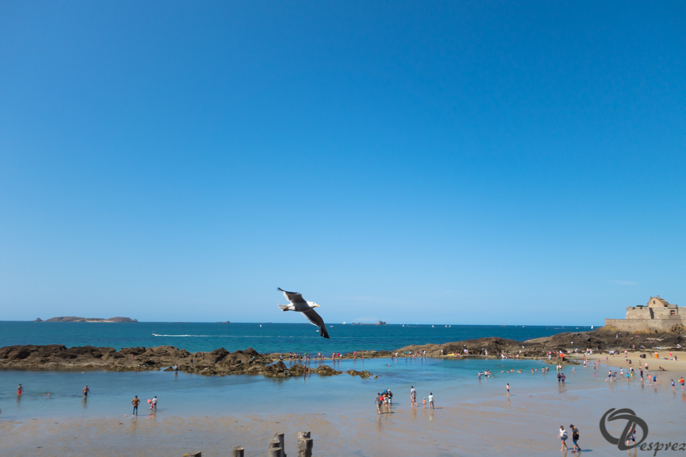 2019-aout-21-DSC03270