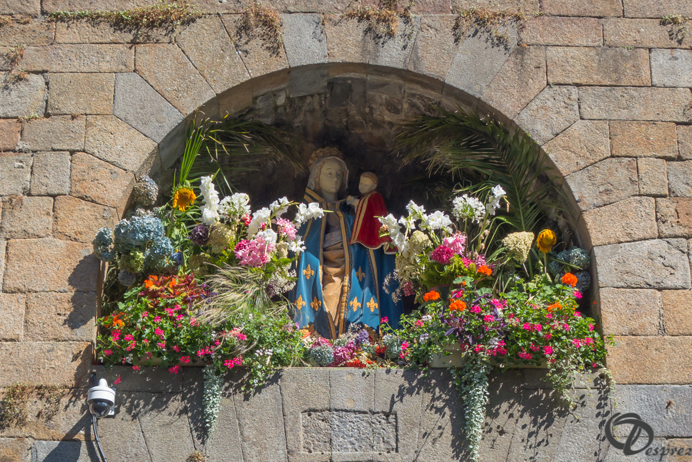 2019-aout-21-DSC03277