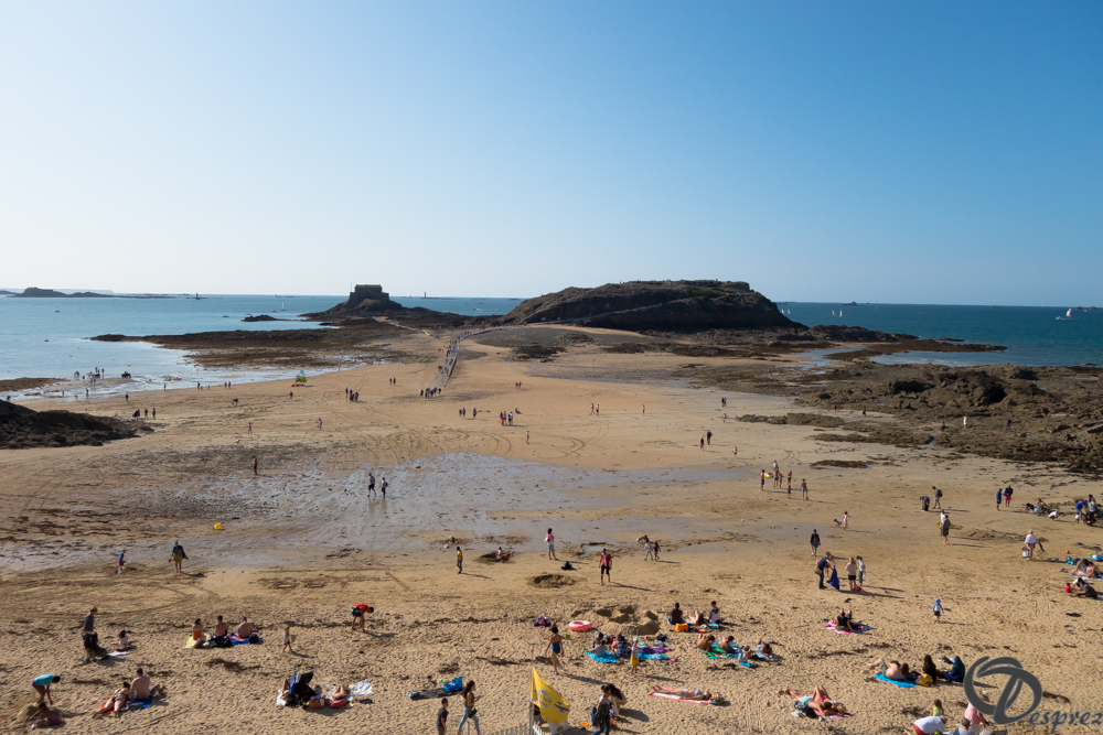 2019-aout-21-DSC03280