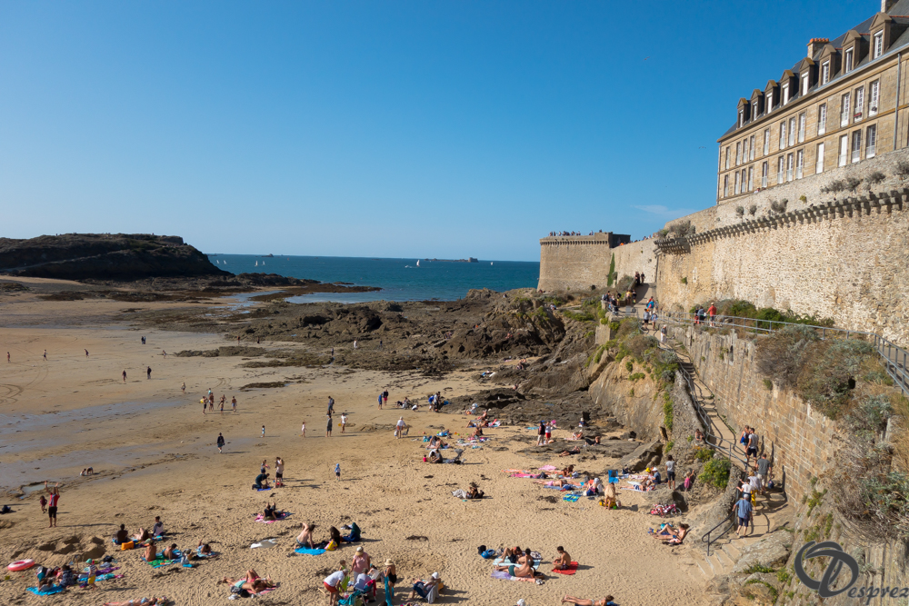 2019-aout-21-DSC03281