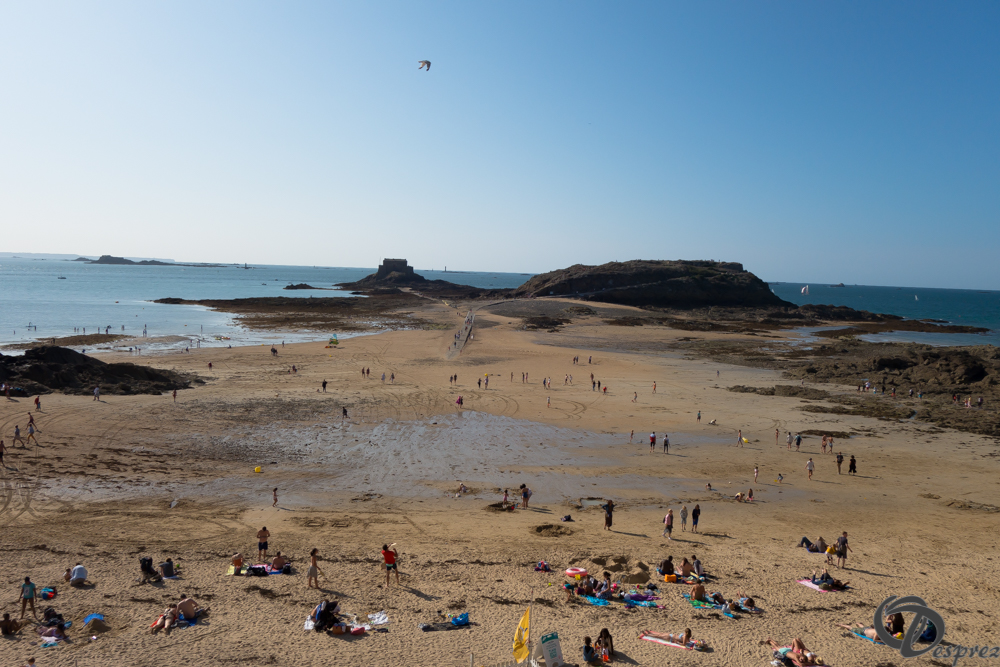 2019-aout-21-DSC03282