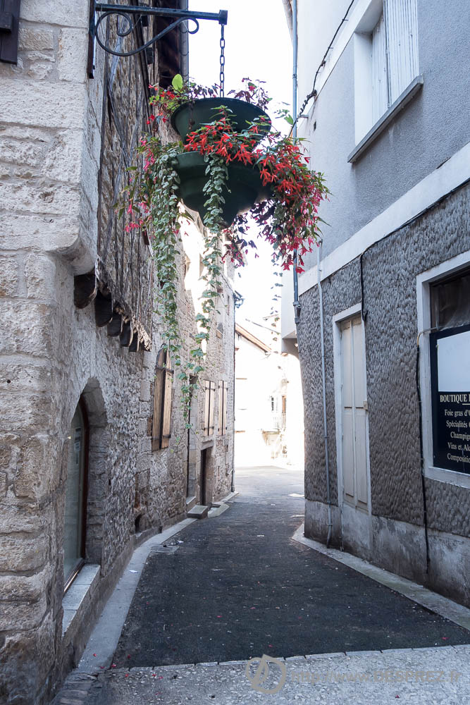 10 aout 2016DSC01008