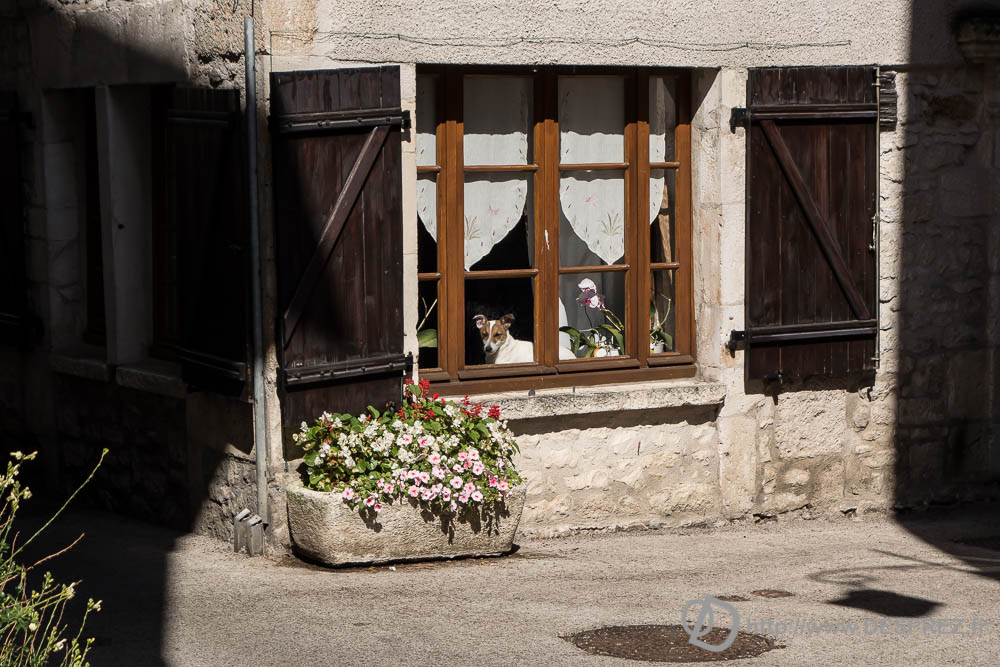 10 aout 2016DSC01022