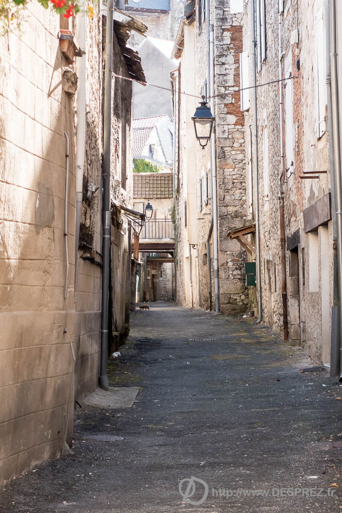 10 aout 2016DSC01023