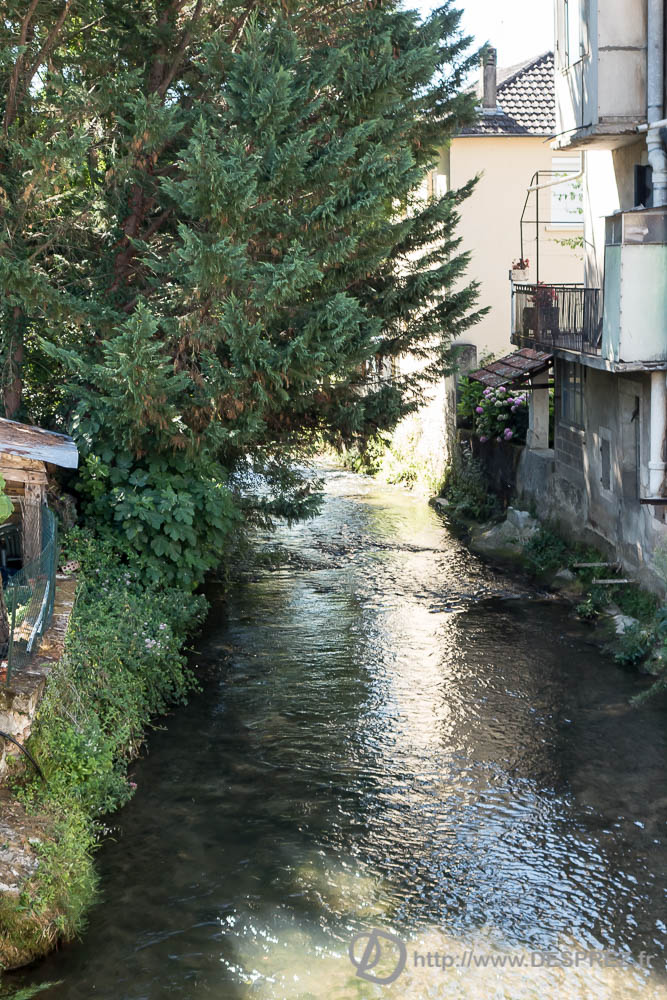 10 aout 2016DSC01032