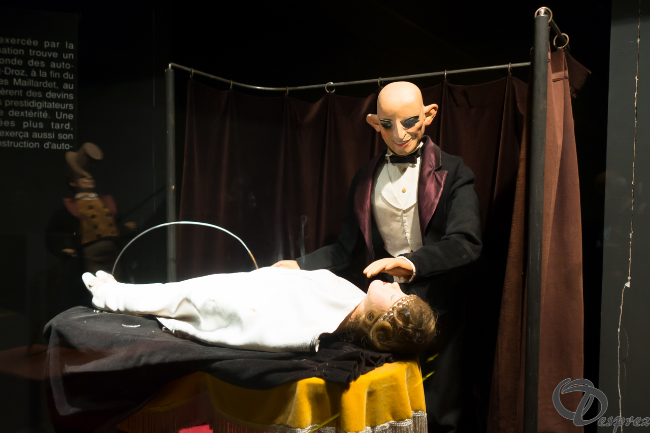 2021-août-24-DSC03539