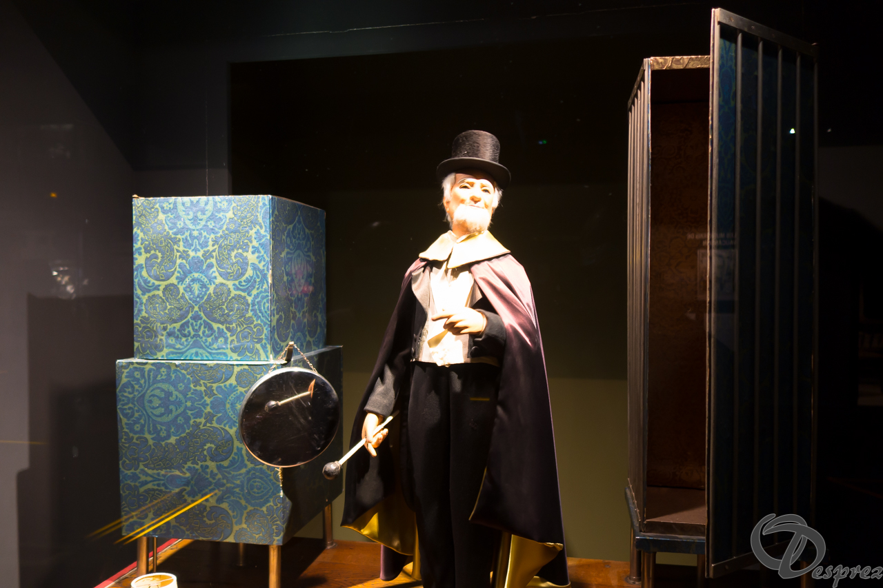 2021-août-24-DSC03541