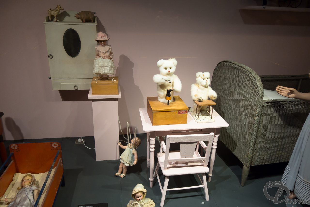 2021-août-24-DSC03555