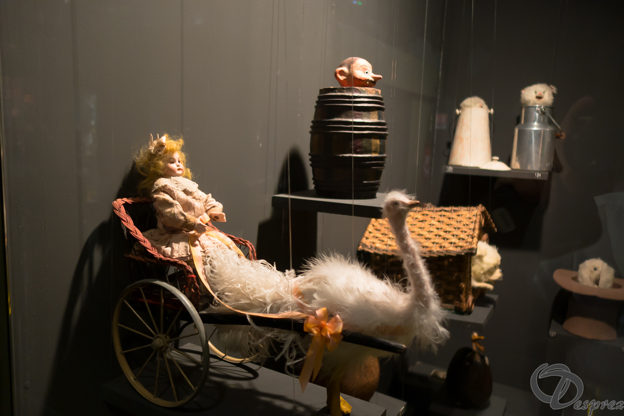 2021-août-24-DSC03558