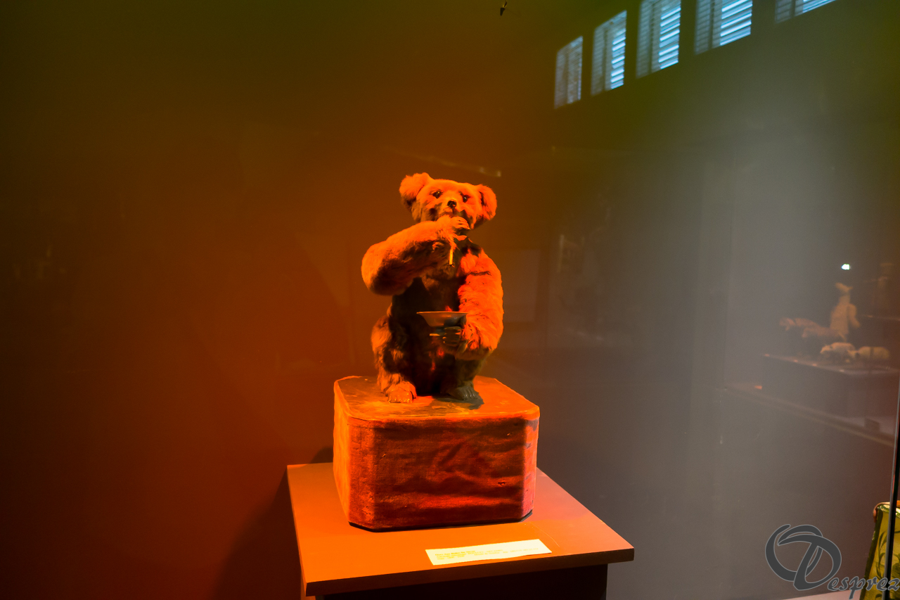 2021-août-24-DSC03559