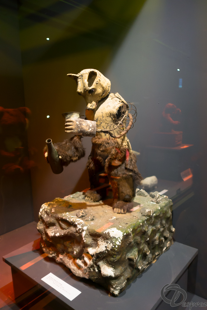 2021-août-24-DSC03560