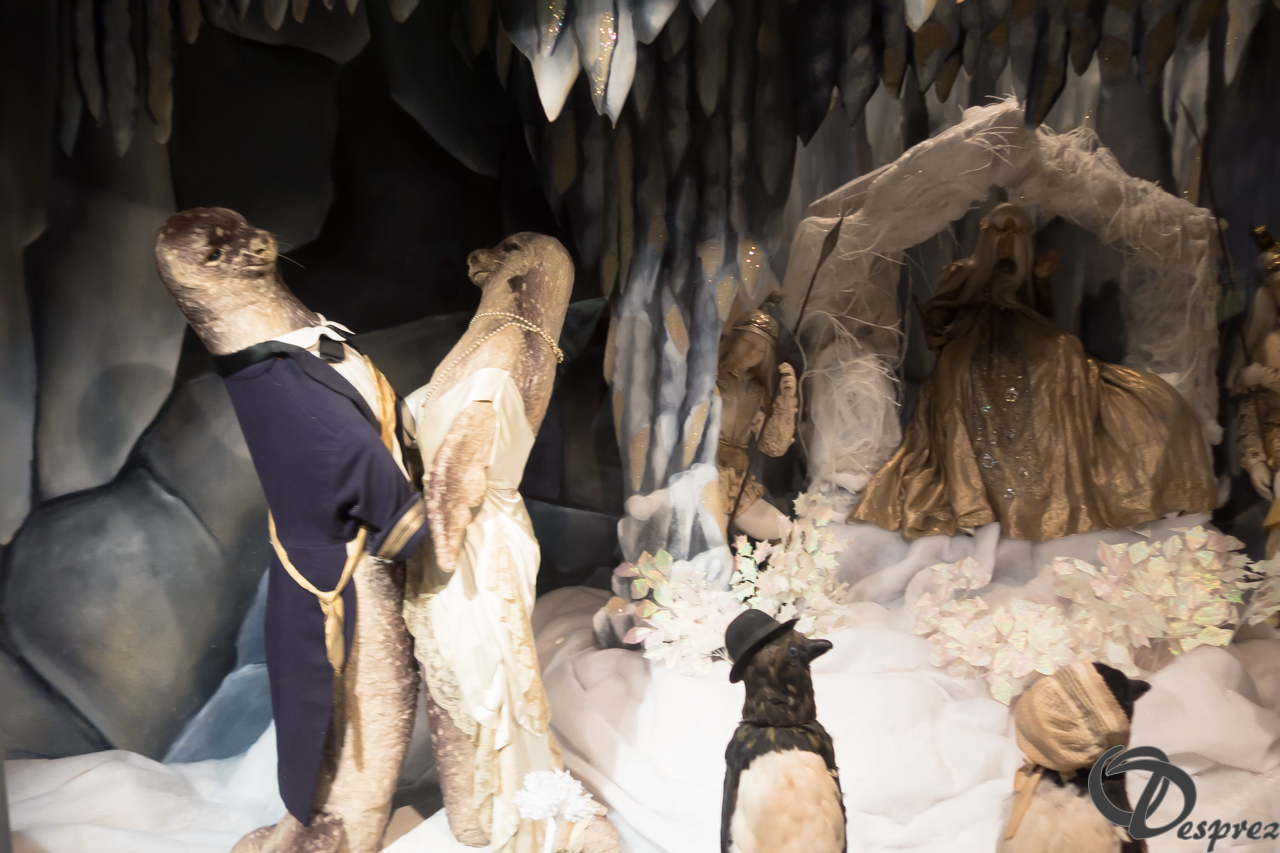 2021-août-24-DSC03578