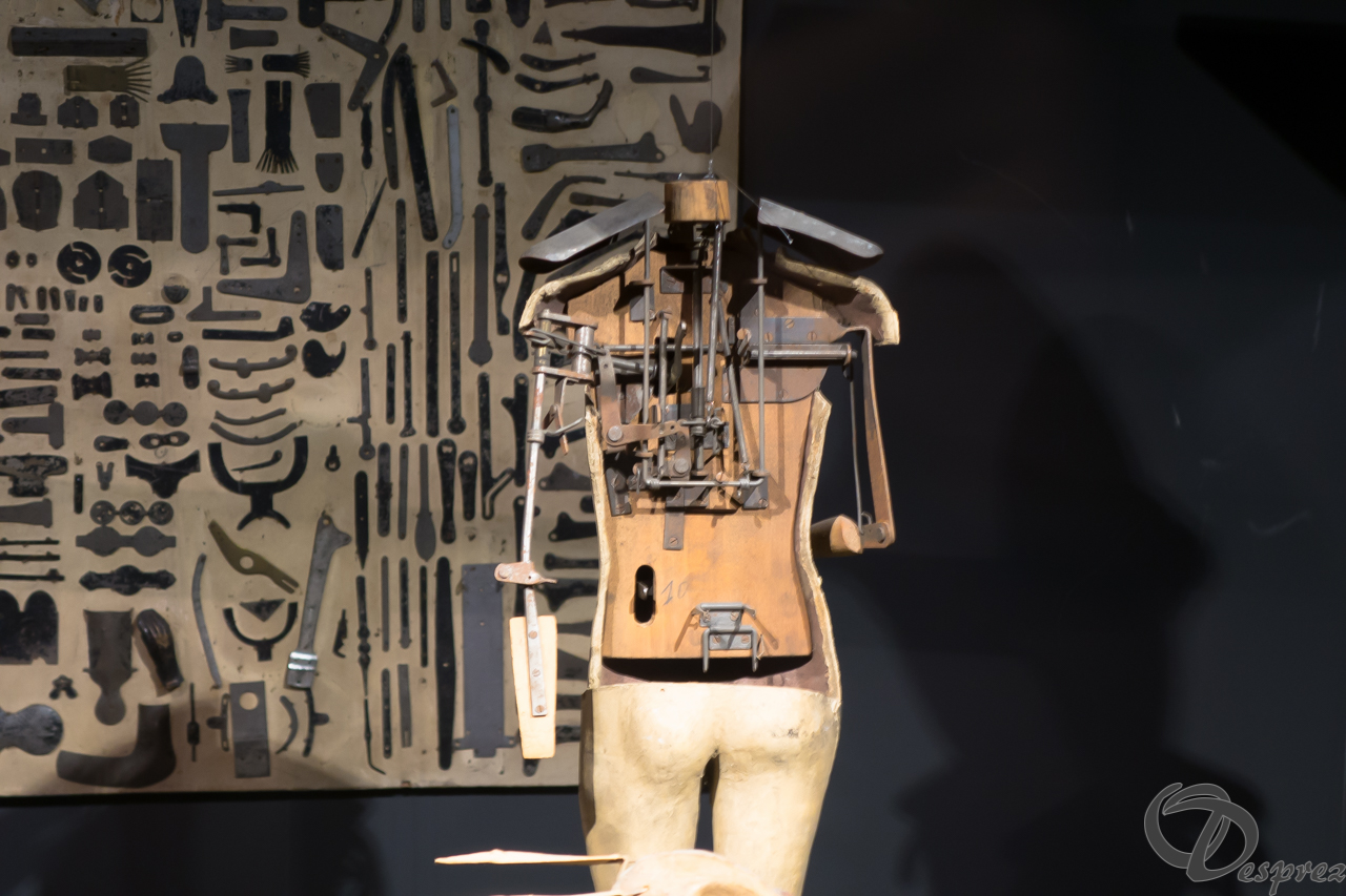 2021-août-24-DSC03586