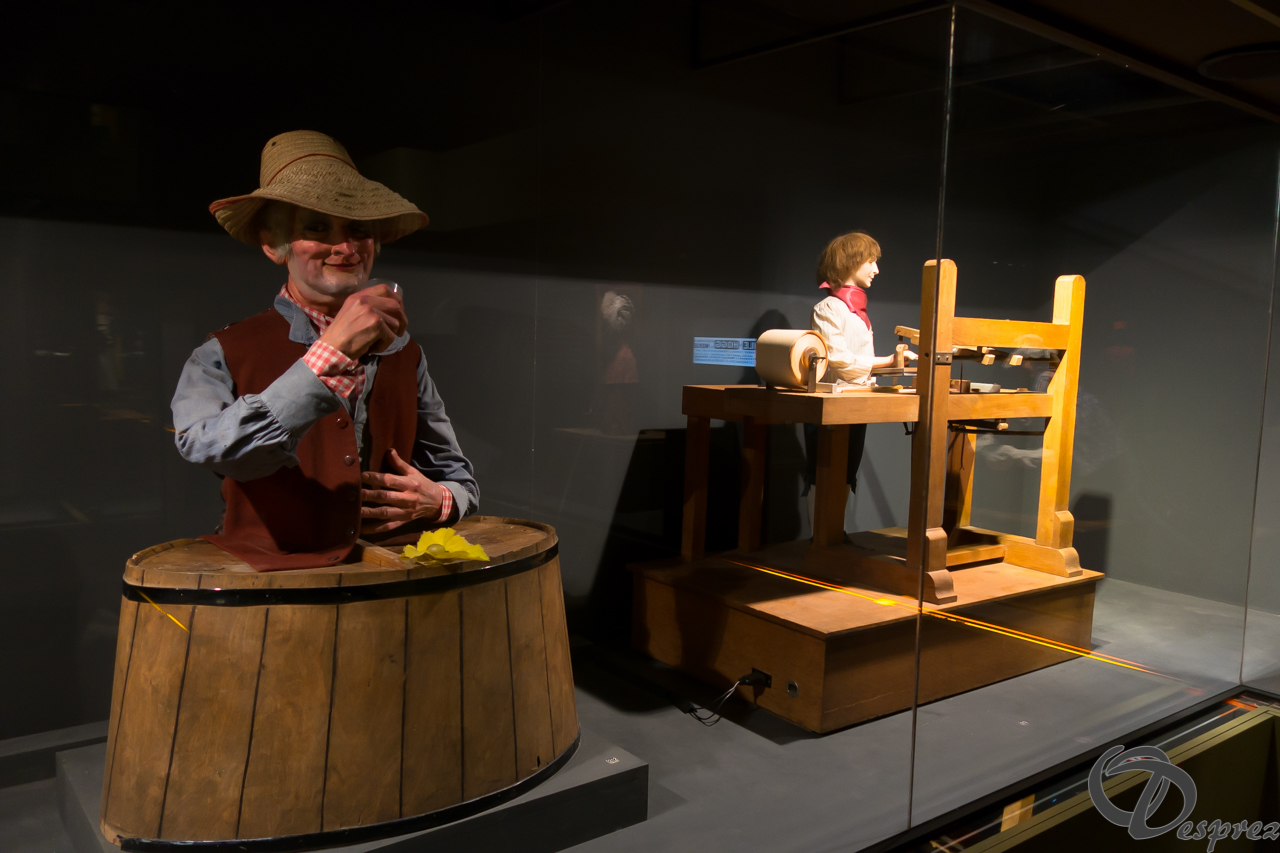 2021-août-24-DSC03596