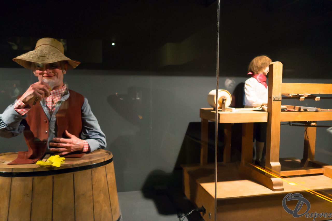 2021-août-24-DSC03598